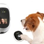 modum_petchatz