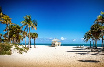 Miami: Где отдохнуть? На пляже! Crandon Park Beach