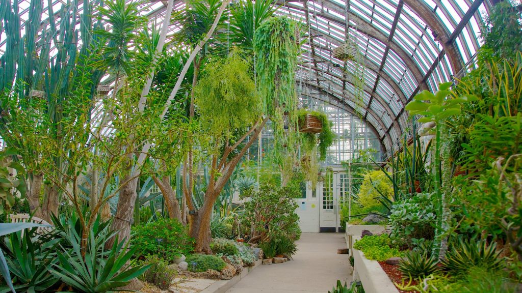 Garfield-Park-Conservatory