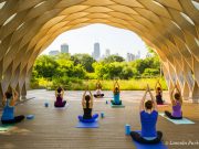 Lincoln_Park_Zoo_Chicago_yoga