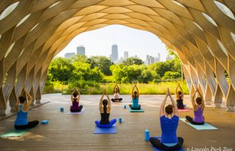 Lincoln_Park_Zoo_Chicago_yoga