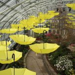 Chicago: Garfield Park Conservatory