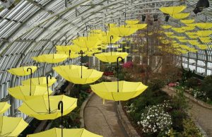Chicago: Garfield Park Conservatory