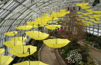 Chicago: Garfield Park Conservatory Chicago: Garfield Park Conservatory