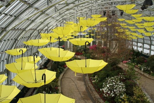 Chicago: Garfield Park Conservatory