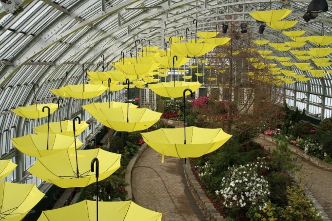 Chicago: Garfield Park Conservatory